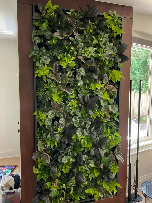 Home Plant Wall: Transform Your Space with Lush Greenery